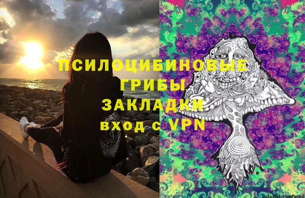 PSILOCYBIN Куйбышев