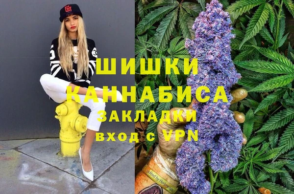 сатива Краснослободск