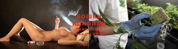 PSILOCYBIN Куйбышев