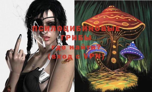 PSILOCYBIN Куйбышев